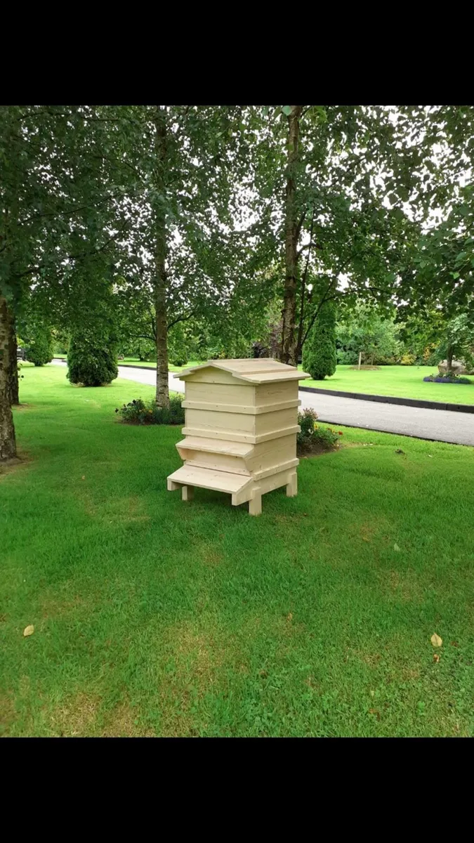 Bees in hives - Image 1