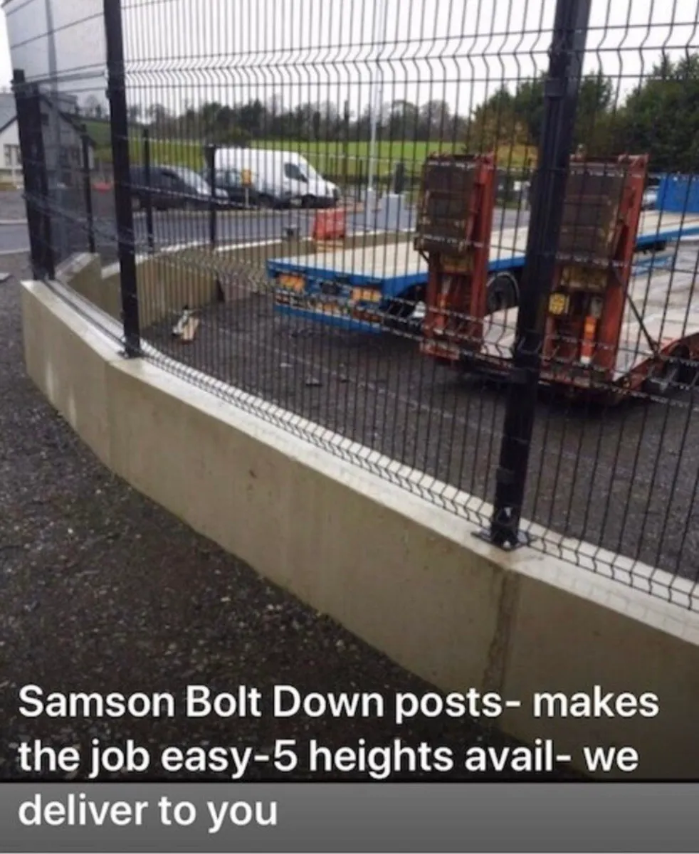 3mm Bolt Down Palisade/ Bolt down paladin - Image 4