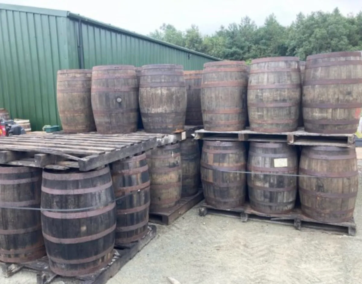 Whiskey oak Barrels clearance - Image 2