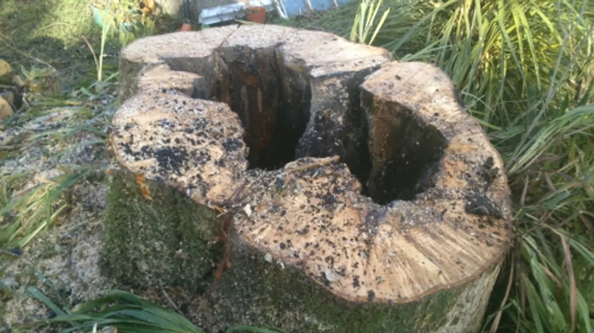 tree down.ie - Image 2