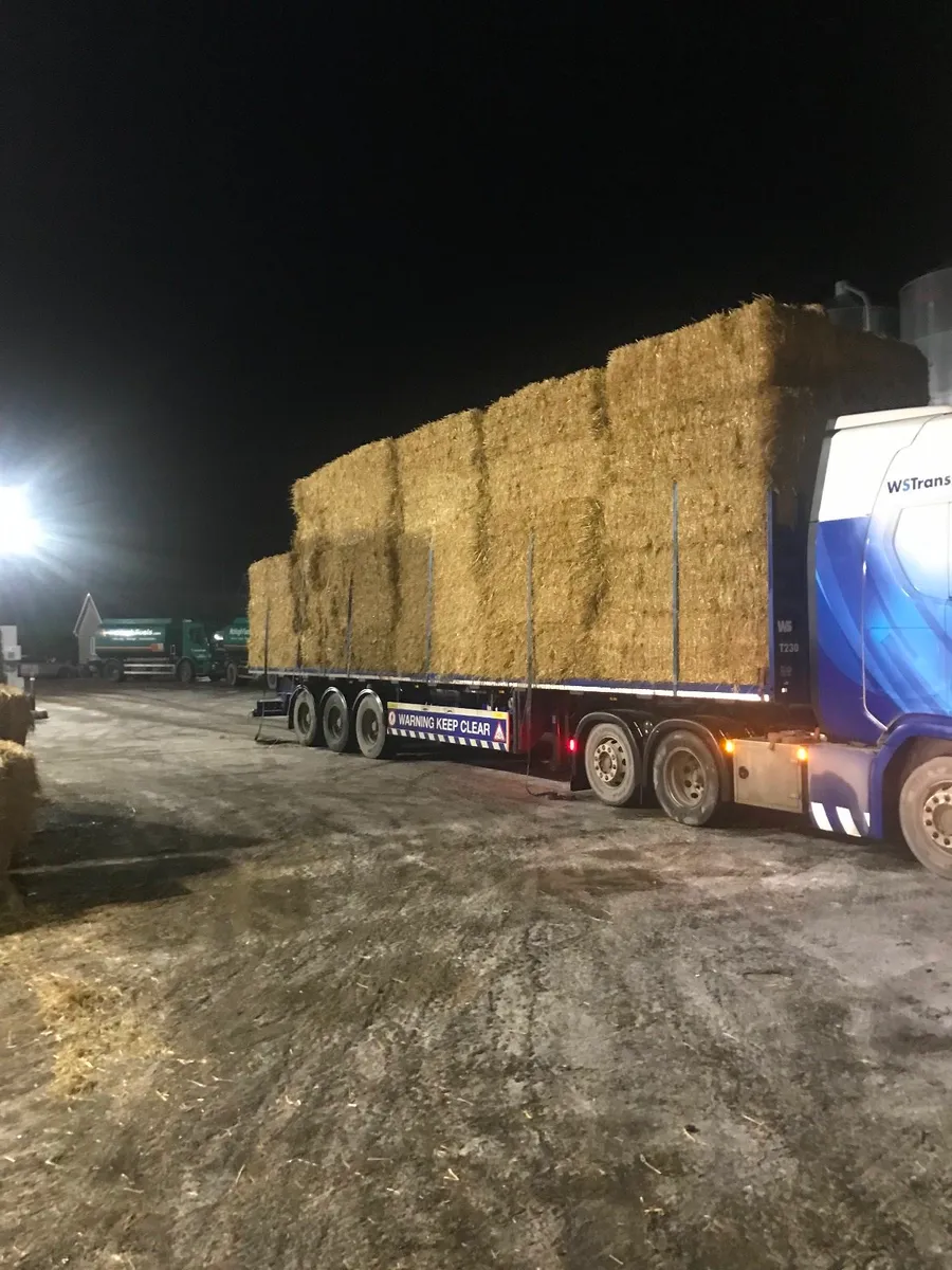 Round bale silage Hay Straw - Image 4