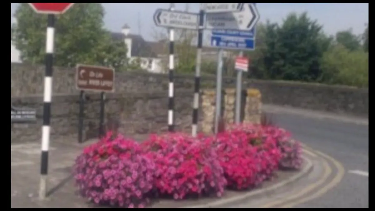 Whiskey Barrel Planters- delivered - Image 4