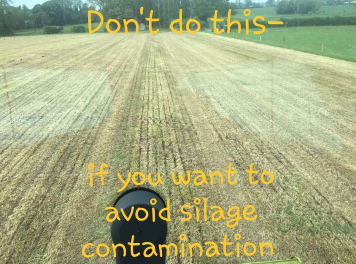 Swivel Spreader.  Avoid mycotoxins in silage. - Image 4