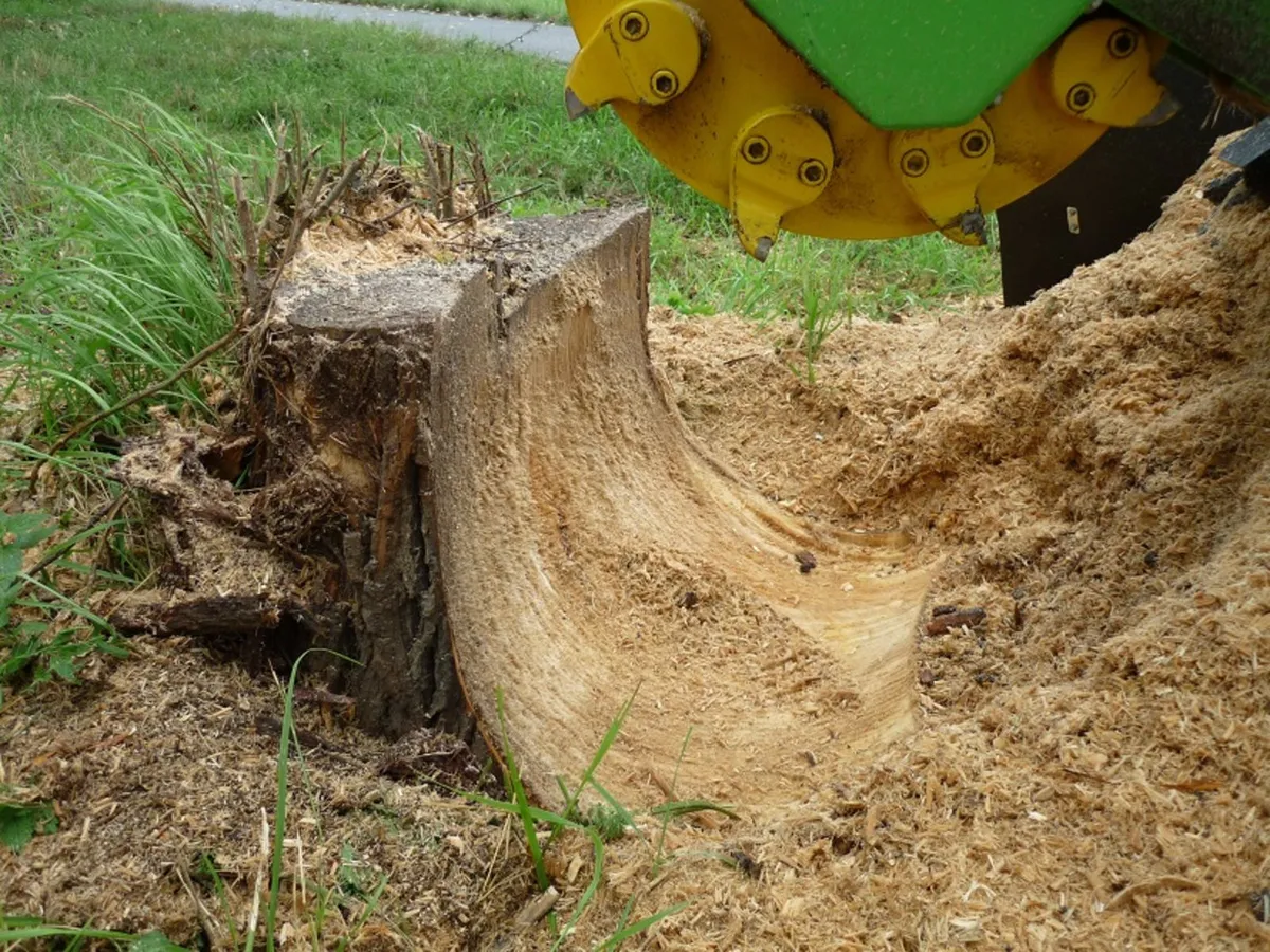 LASKI Stump cutter F 500H/27 - Image 3