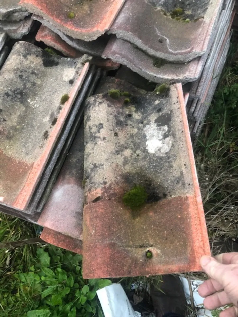 Roof tiles - Image 3