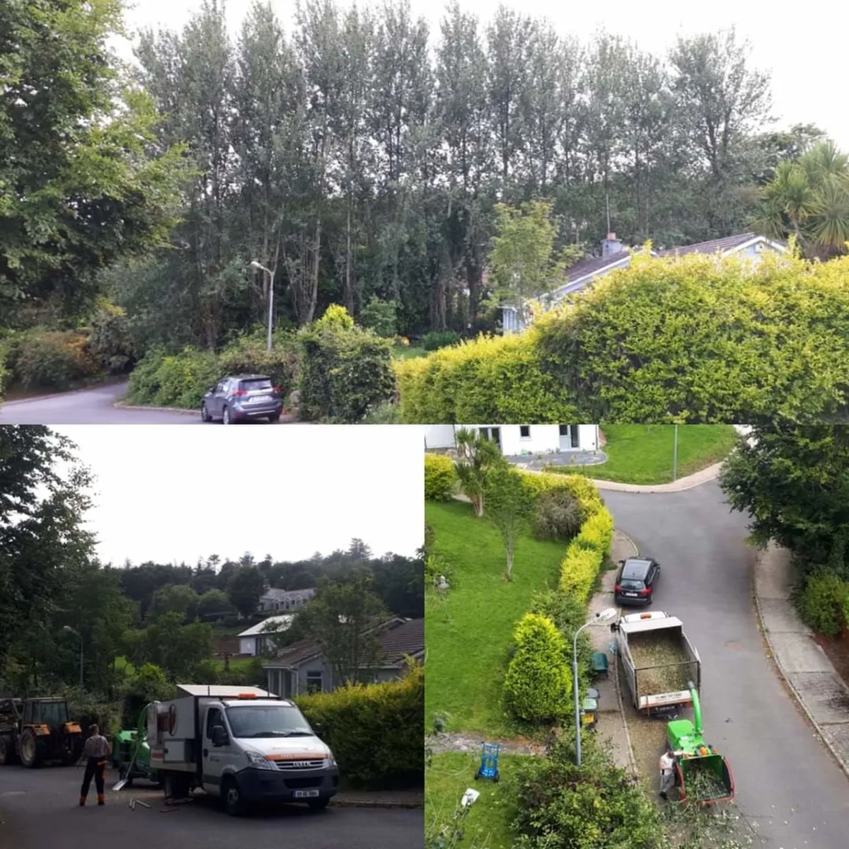 Tree surgery, tree surgeon,storm damaged tree expe - Image 3