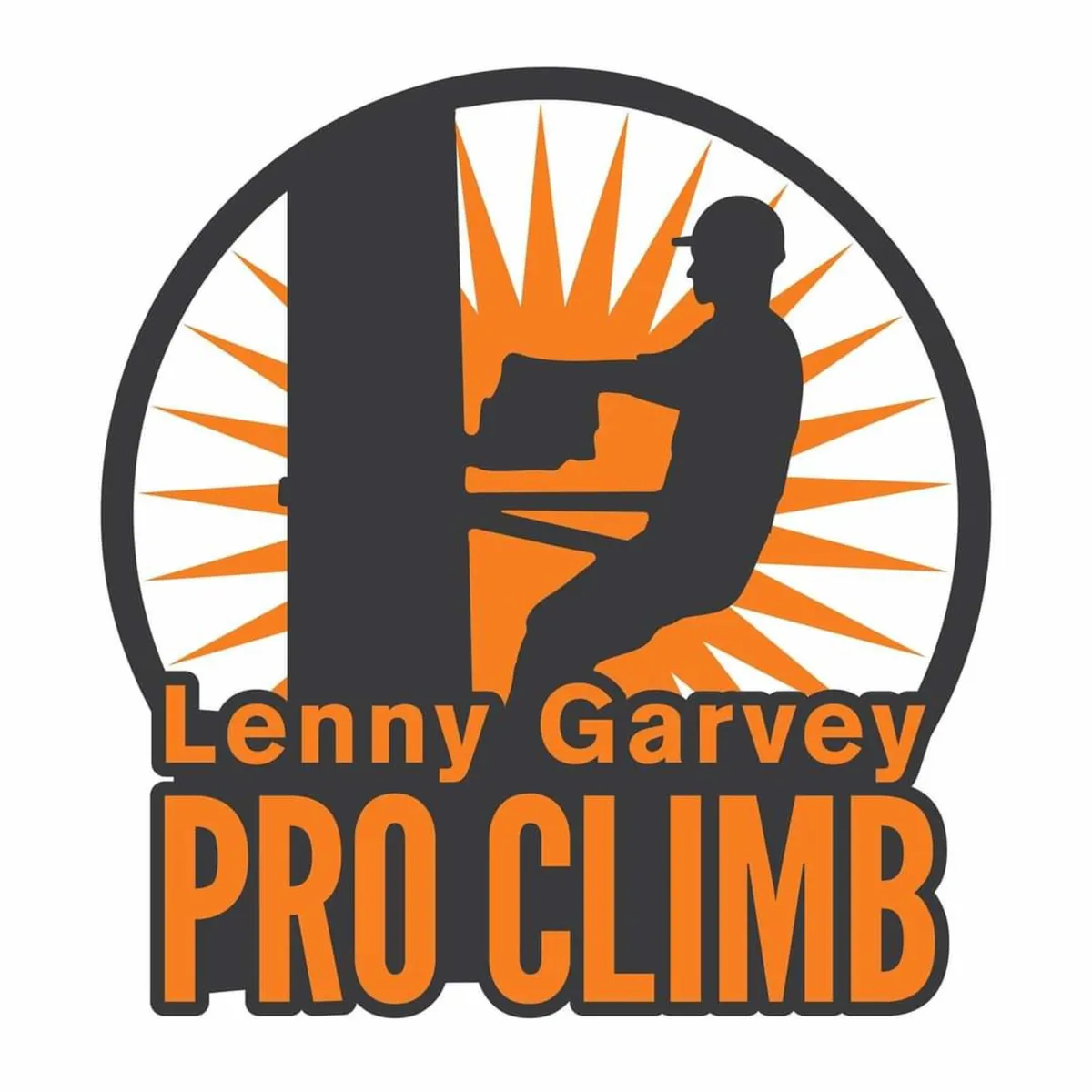 Tree surgery, tree surgeon,storm damaged tree expe - Image 1