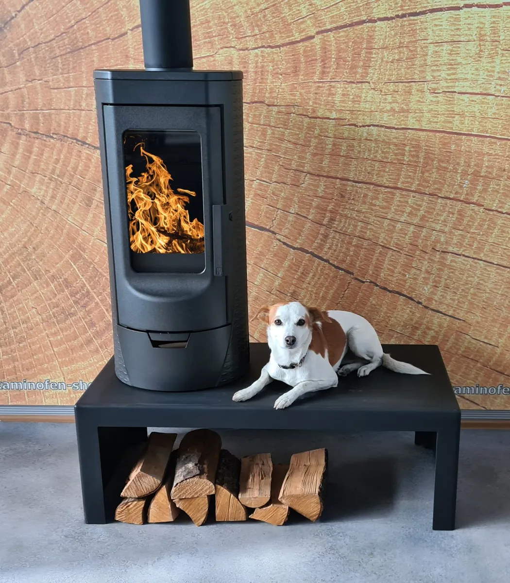 Tara is Eco Stove of the year 2022/2023 - Image 1