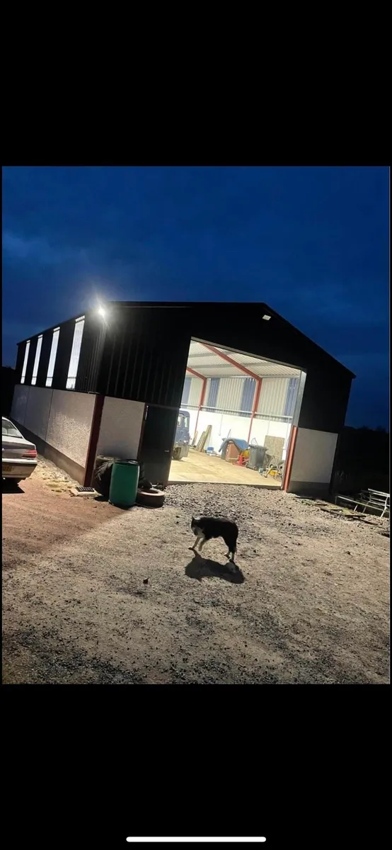 !!!47x30x14 KIT SHED!!! 1 WEEK SALE NOW ON!!! - Image 2