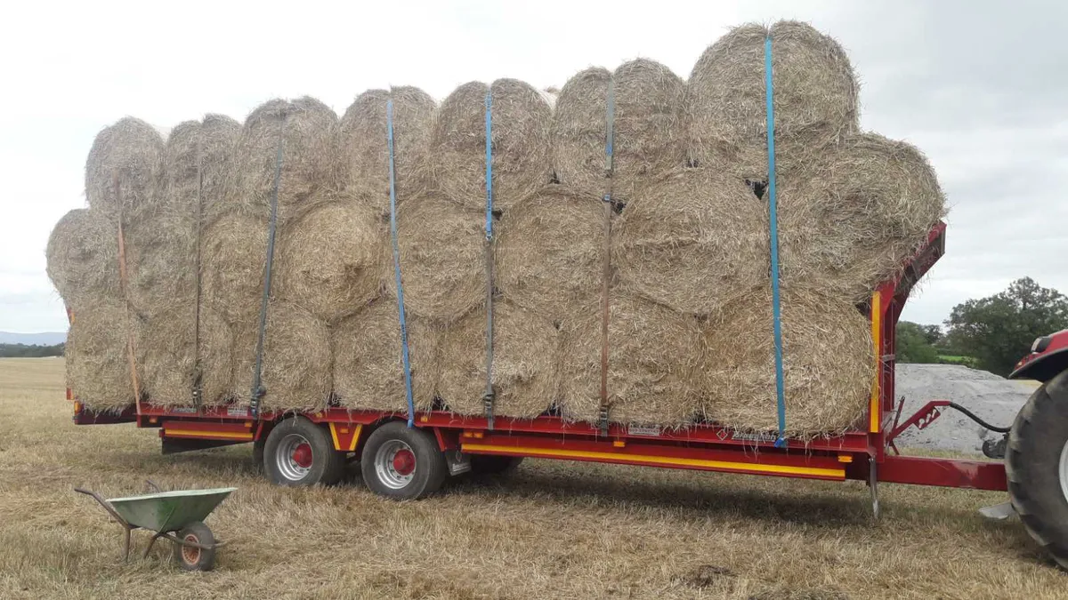 New bale trailers ex stock.  28ft extender or lowl - Image 3