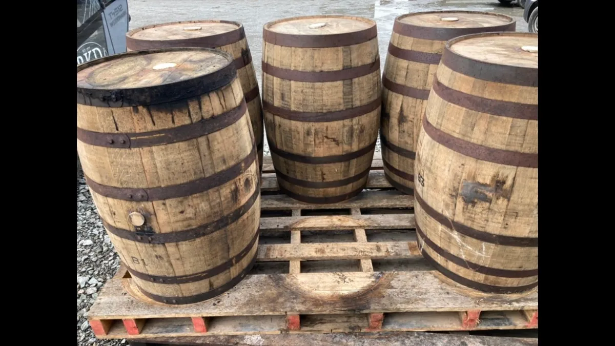 Whiskey barrels- Summer sale Deals- Barrels - Image 1