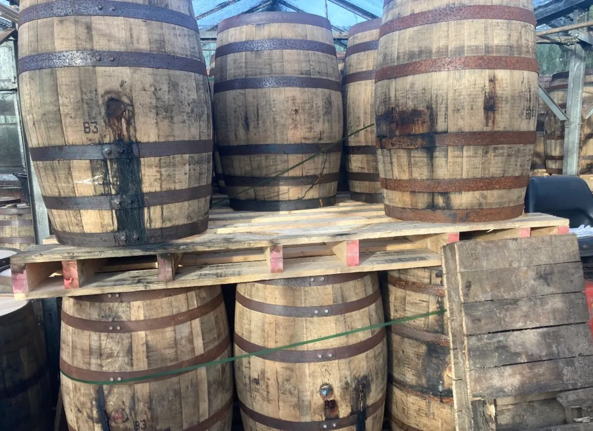 Whiskey barrels- Summer sale Deals- Barrels - Image 2