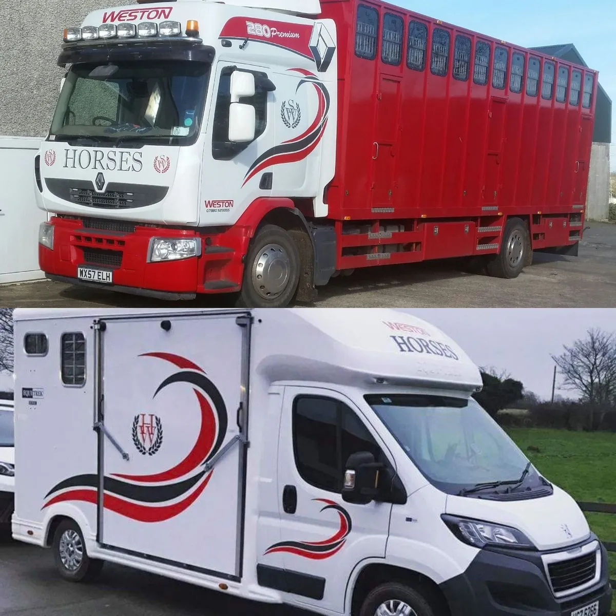 Horse Transport - Image 1