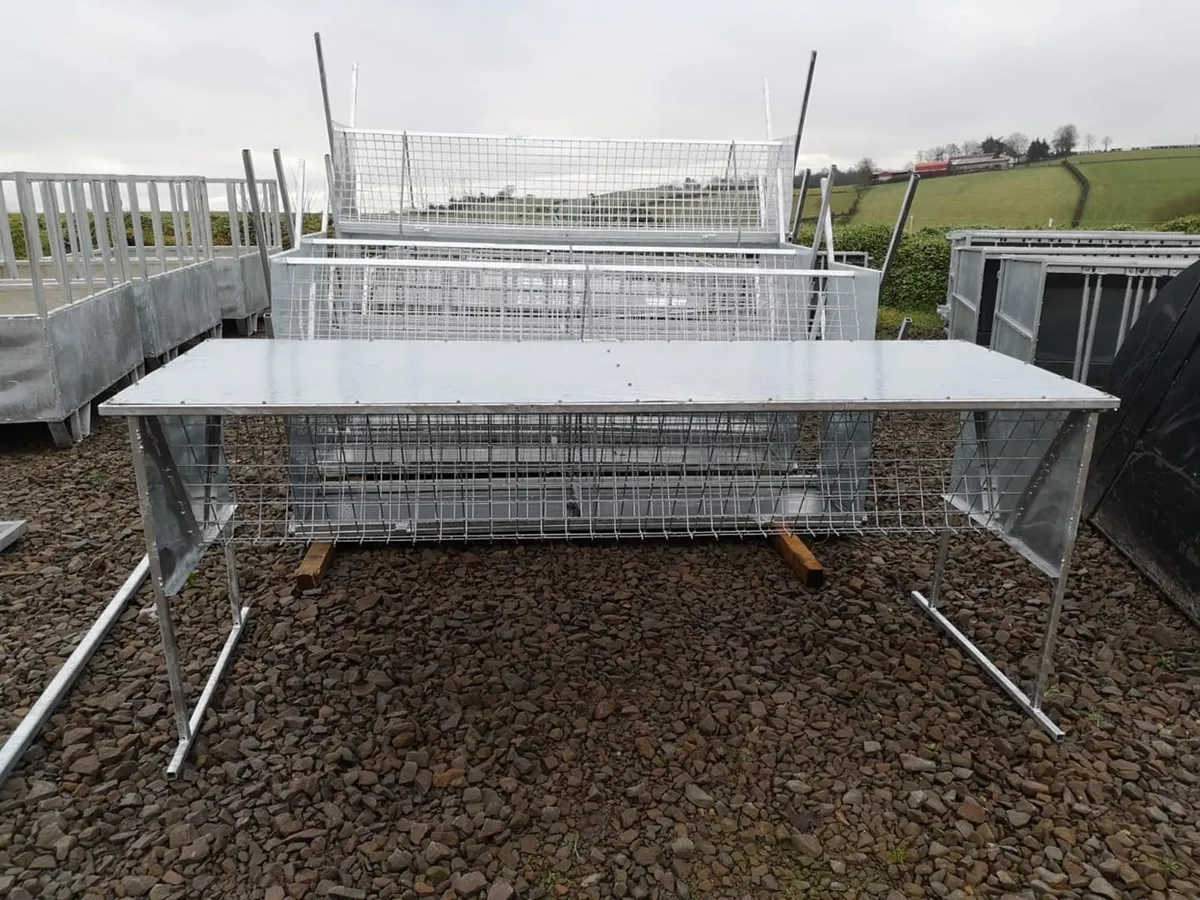 Sheep feeding, troughs, hayracks and ring feeders! - Image 2