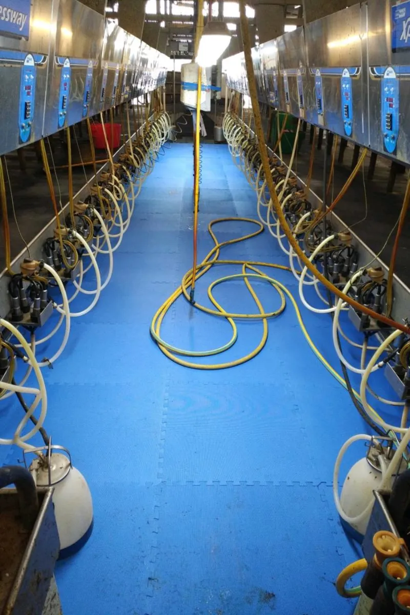 Milking Parlour mats 25mm - Image 4