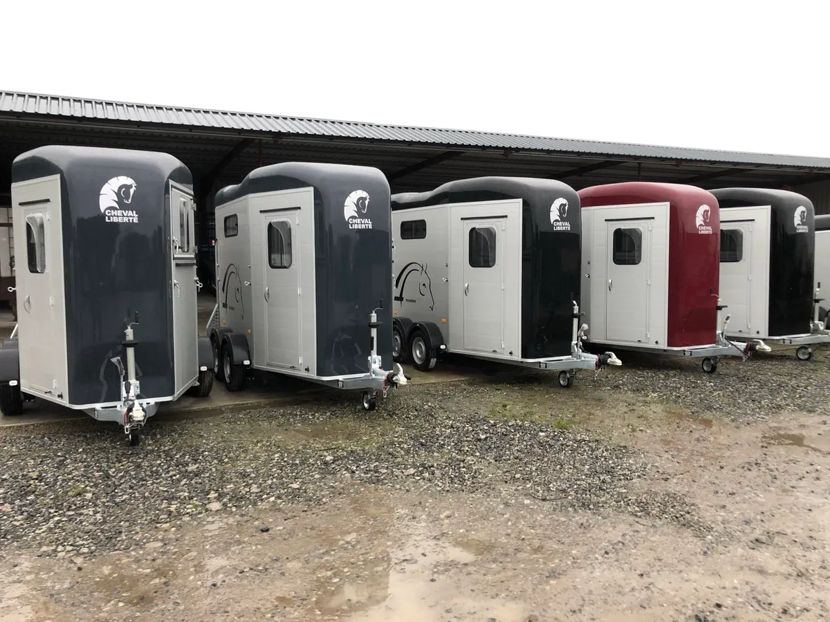 New cheval Liberte touring horse trailers - Image 2