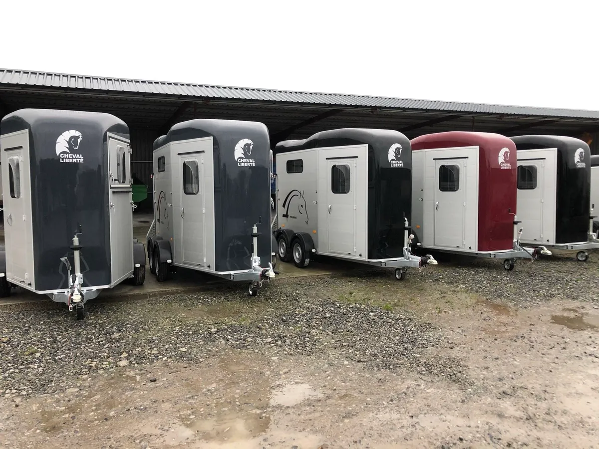 New cheval Liberte touring horse trailers - Image 3