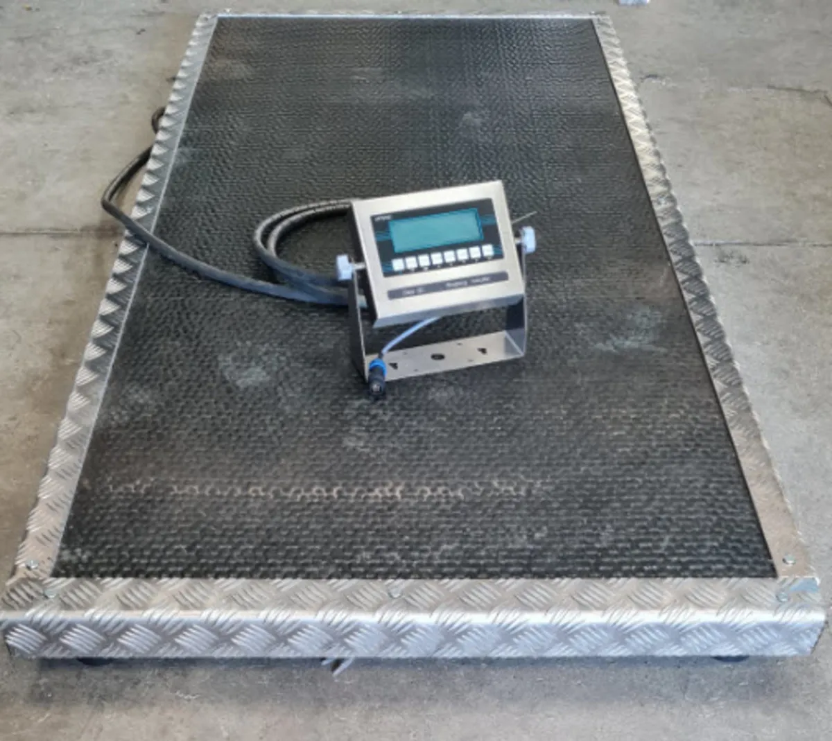 Horse scales, Cattle scale - Image 2