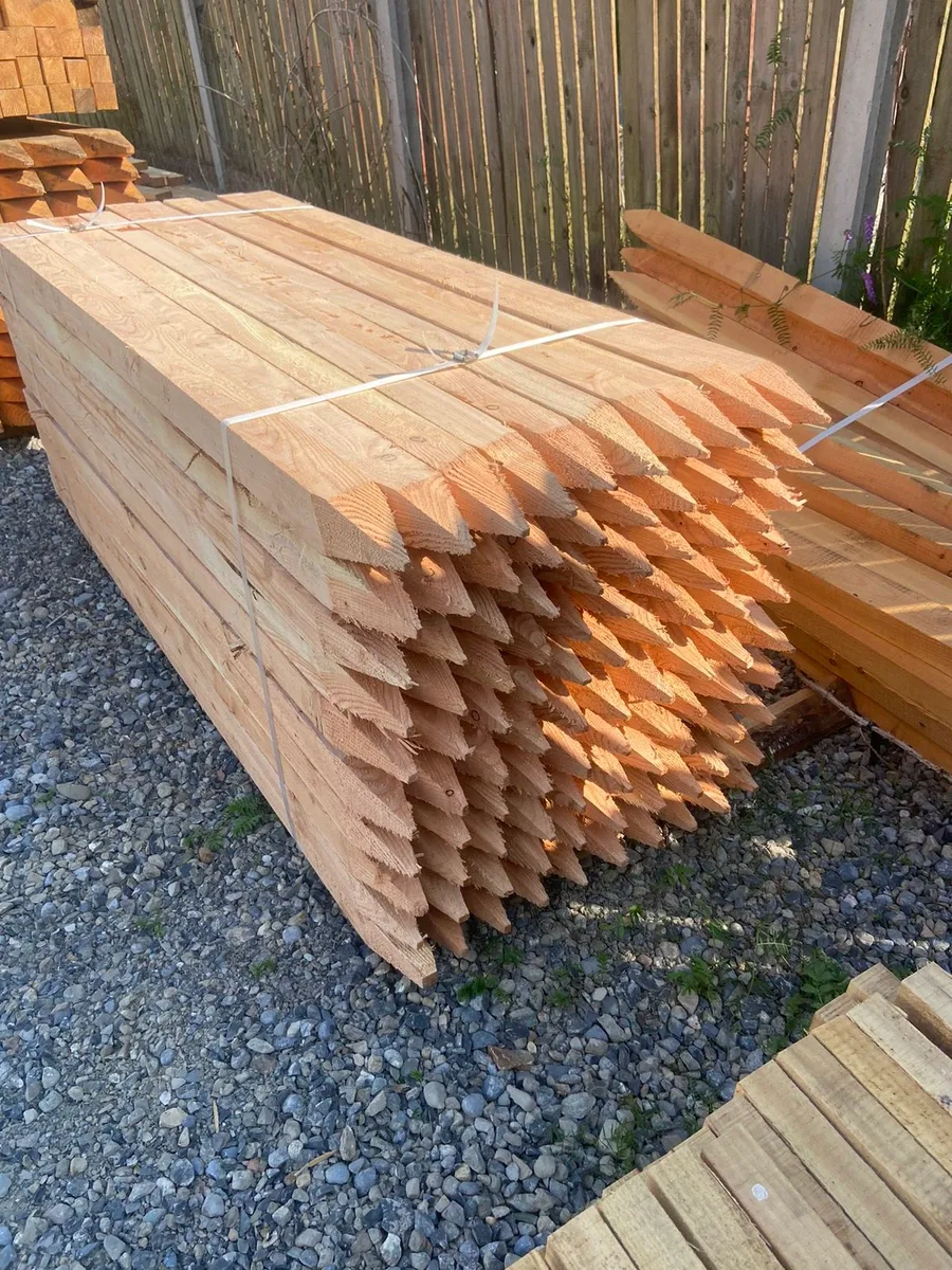 Larch stakes - Image 3