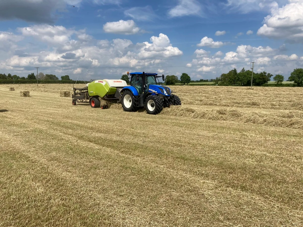 **TOP QUALITY HORSE HAY 2025** - Image 4