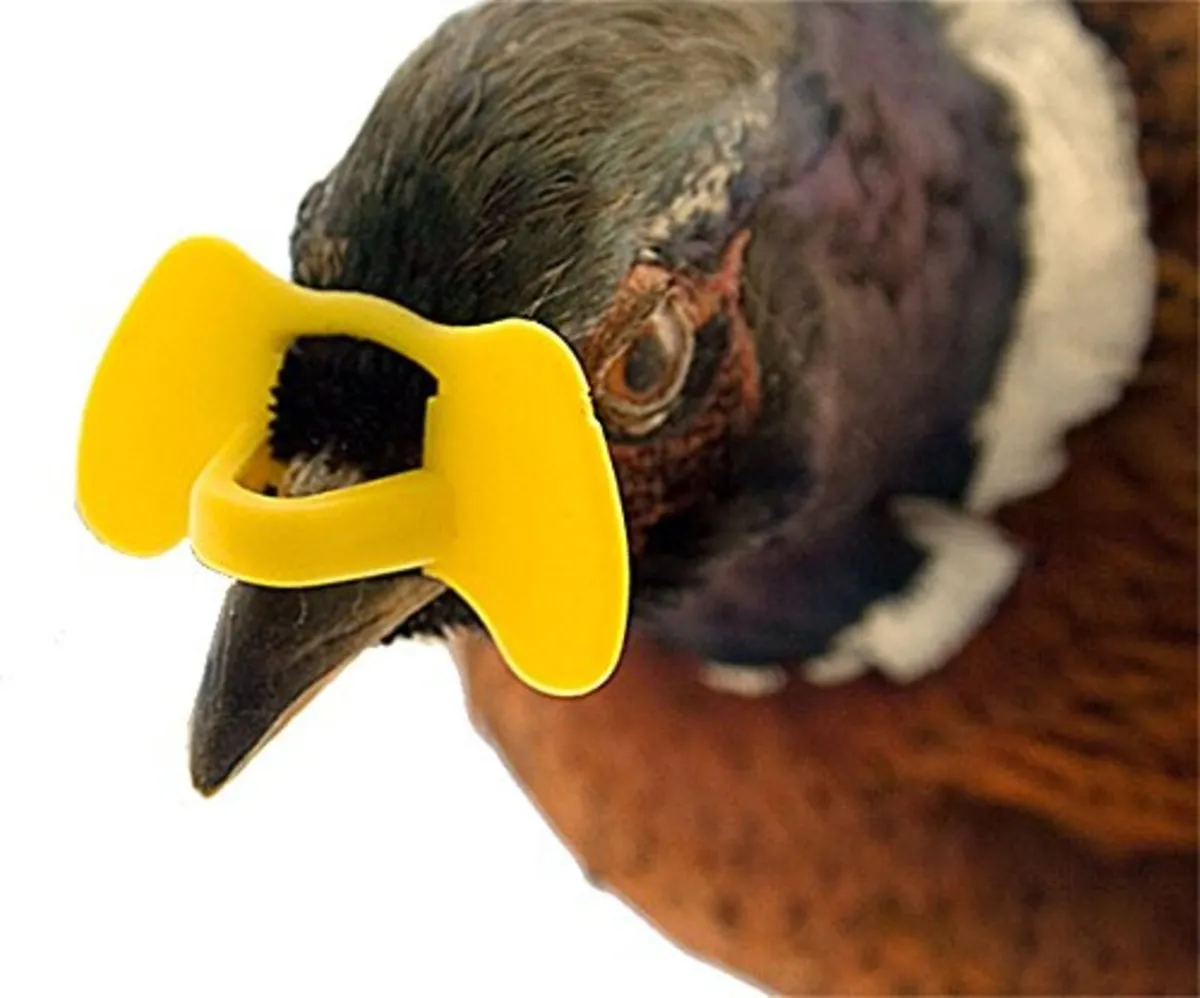 Spex, Bits, Bitfitters, Brails, Bumpa Bits - Image 1