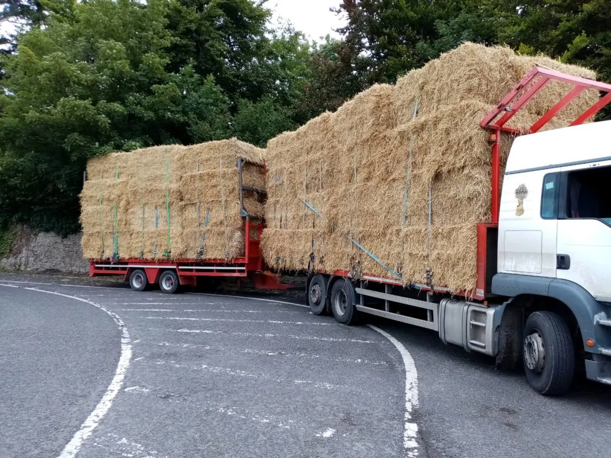 hay & straw x yard or delivered - Image 3