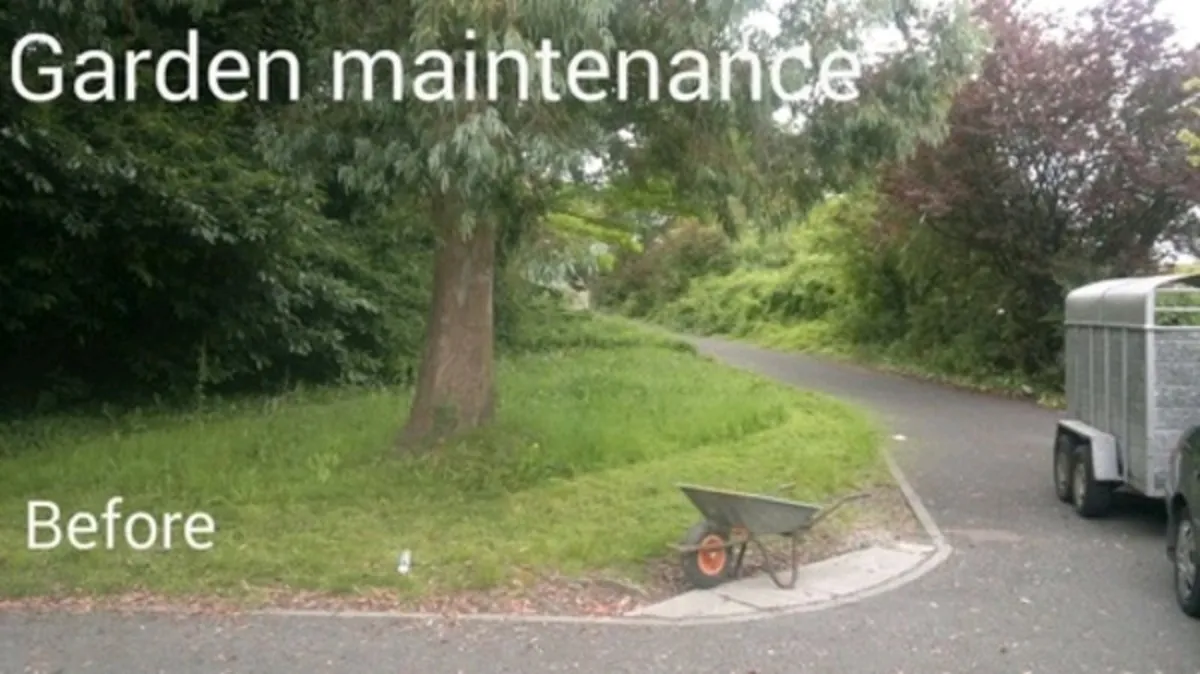 Handyman, house and garden maintenance - Image 1