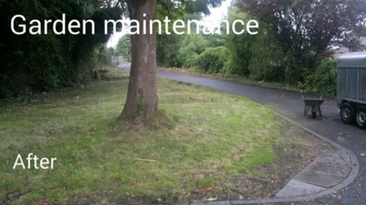 Handyman, house and garden maintenance - Image 2