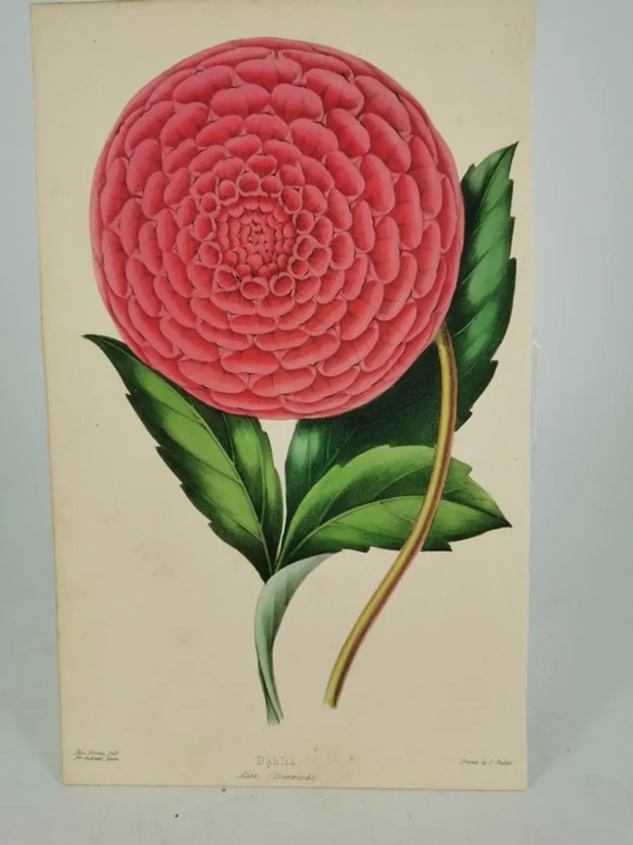 WE ARE NOW OPEN BY AGAIN NEAR WESTPORT - Image 3