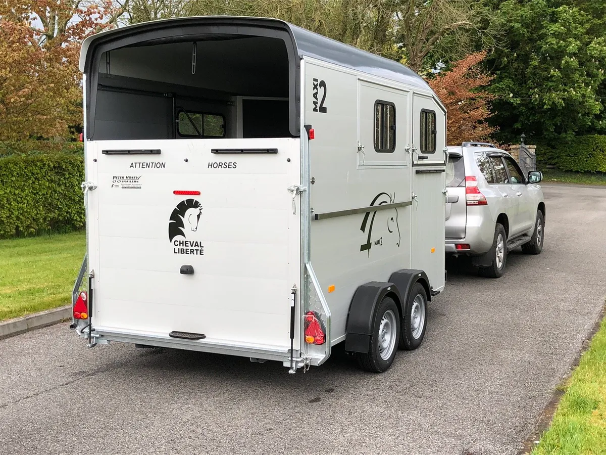 New cheval Liberte maxi 2 - Image 3