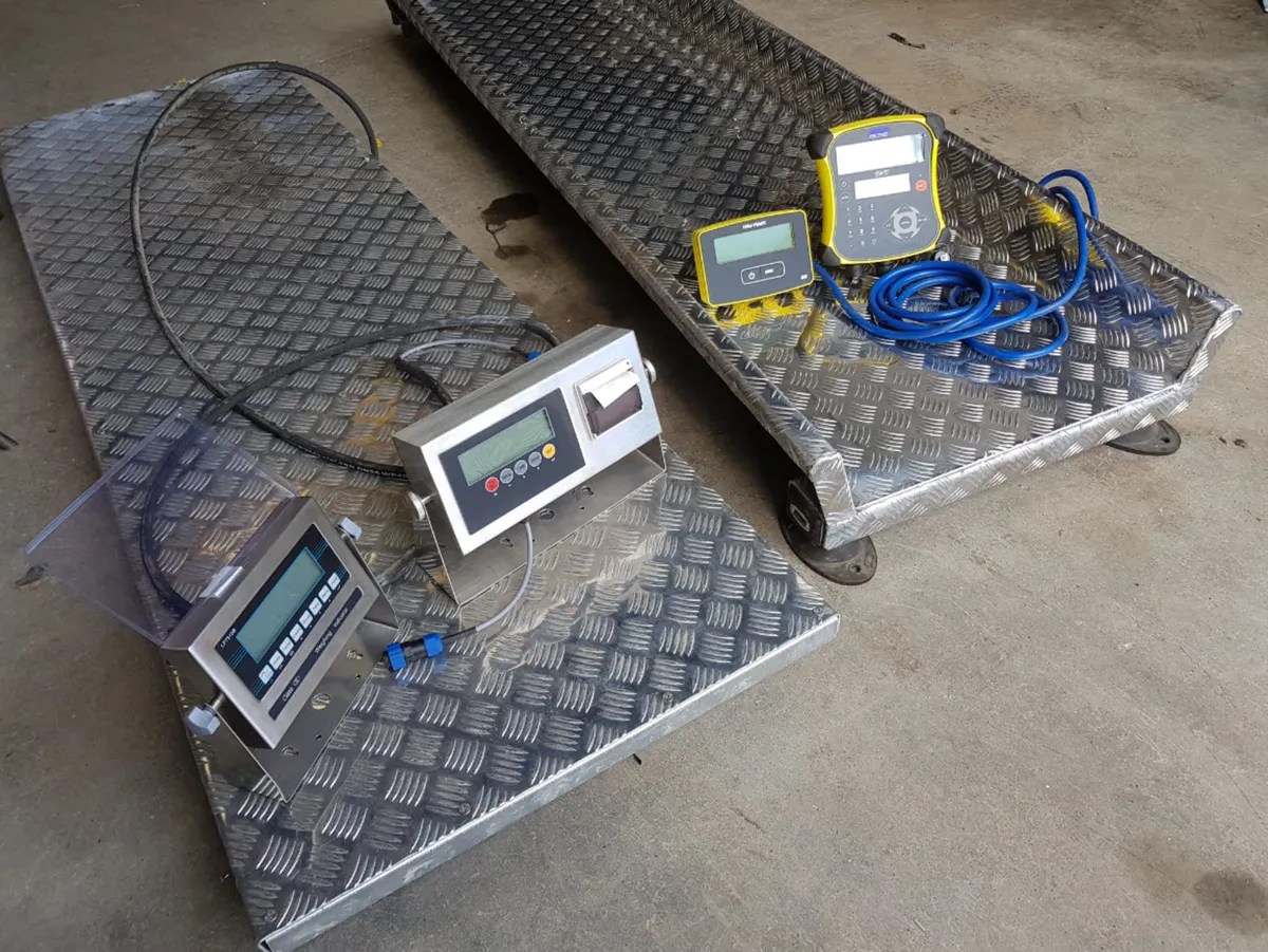 Horse scales, Cattle scale - Image 3