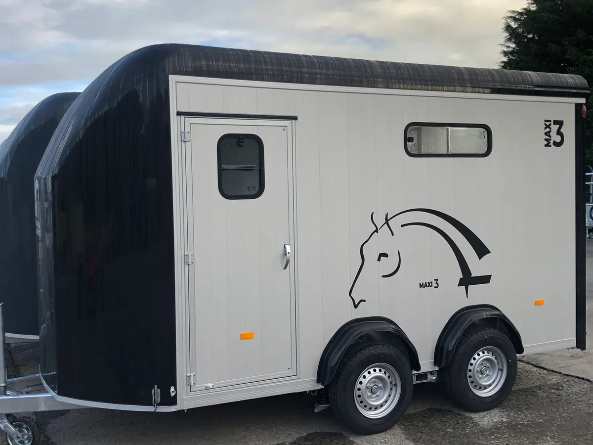 Cheval Liberte maxi 3 - Image 2