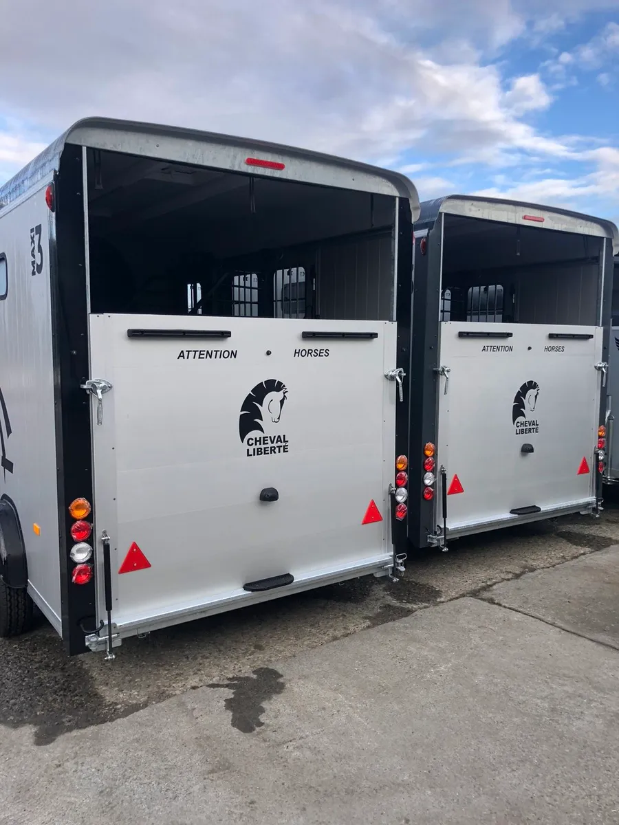 Cheval Liberte maxi 3 - Image 3