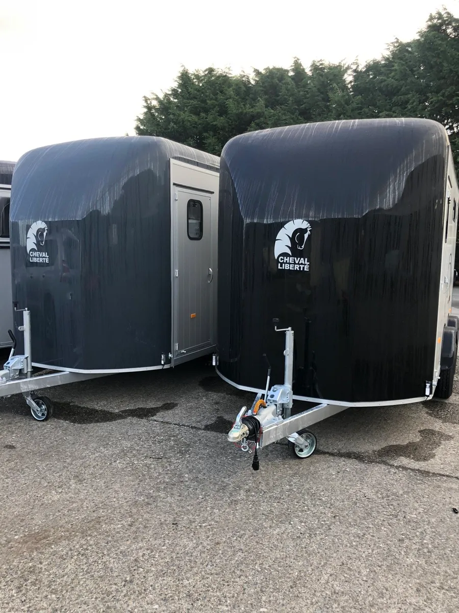 Cheval Liberte maxi 3 - Image 1