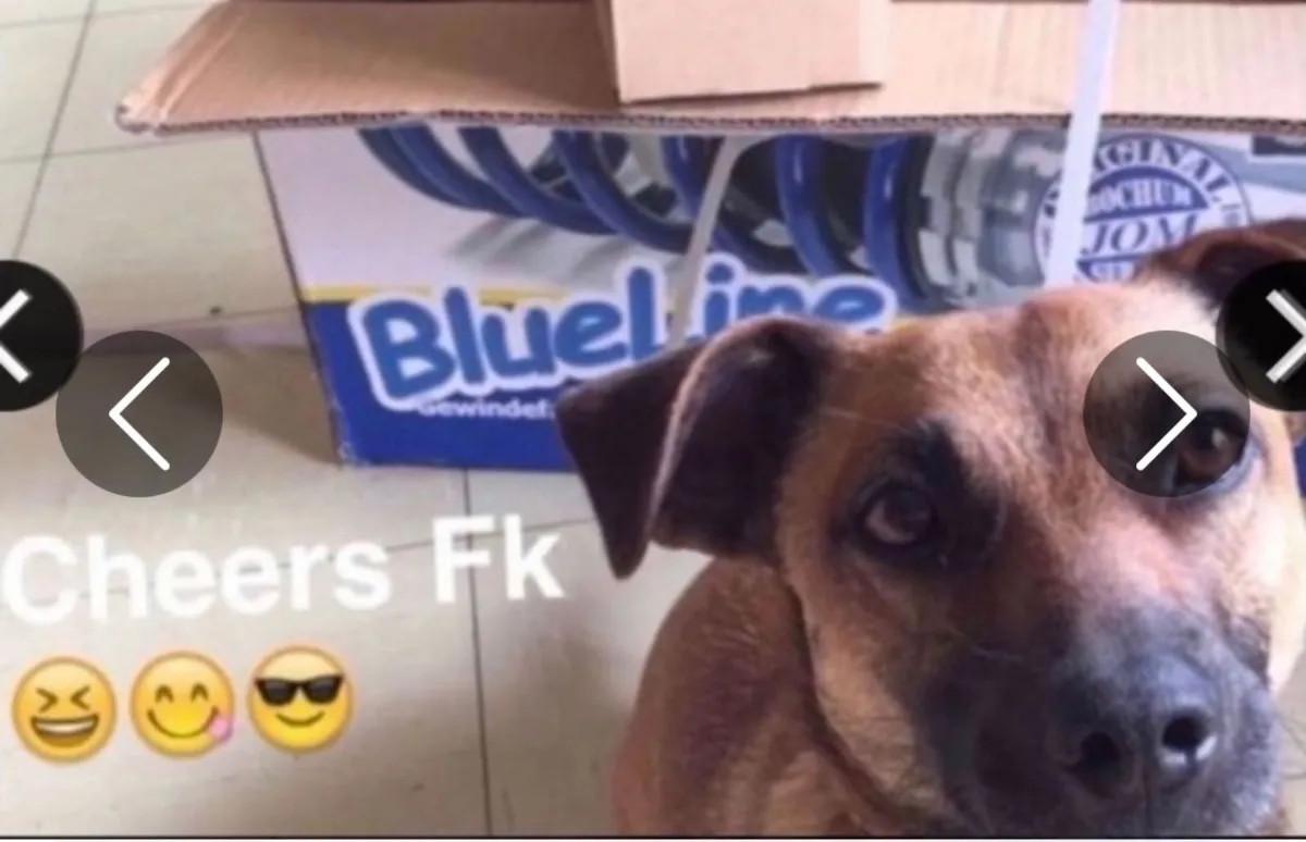 German metal pressed plates delivered - Image 2