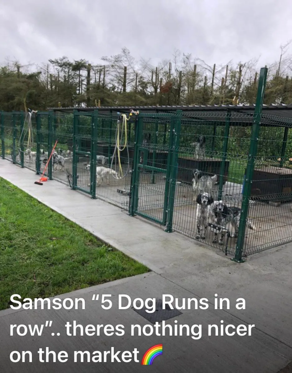 ‼️ BIG SALE‼️ FENCING..VAT free for irish buyers - Image 1