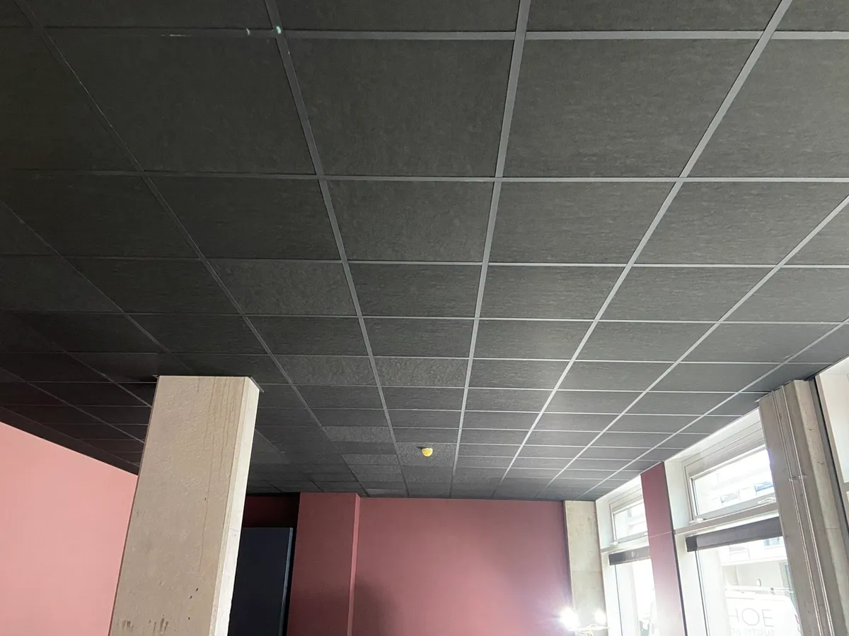 Ceiling tiles - Image 4