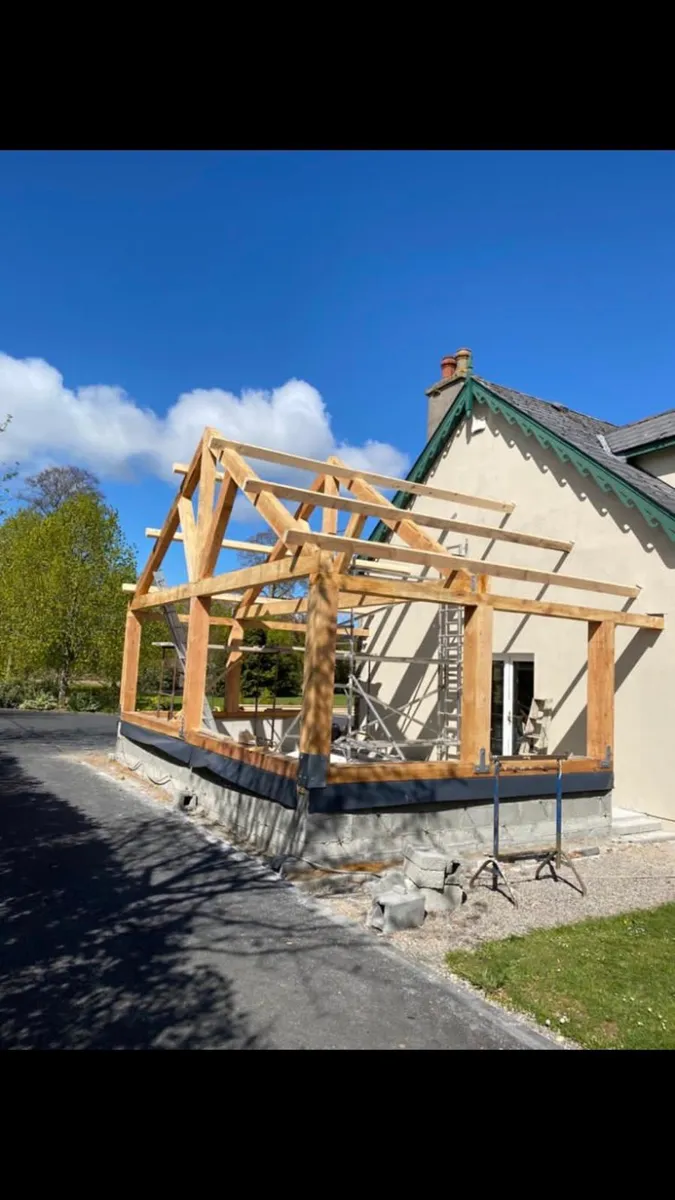 Larch & Douglas fir - Image 4