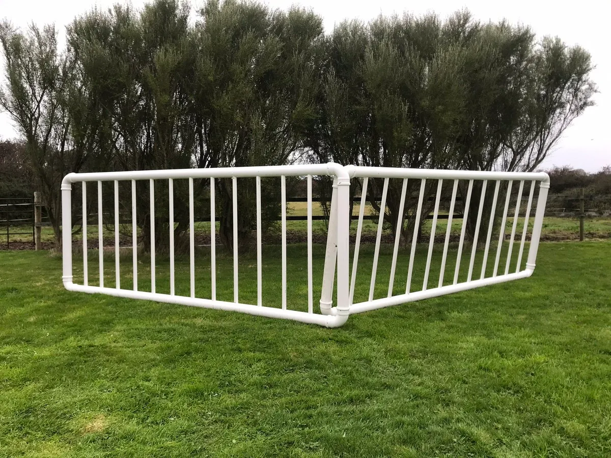 Jumping wings 2sets REDY TO COLLECT