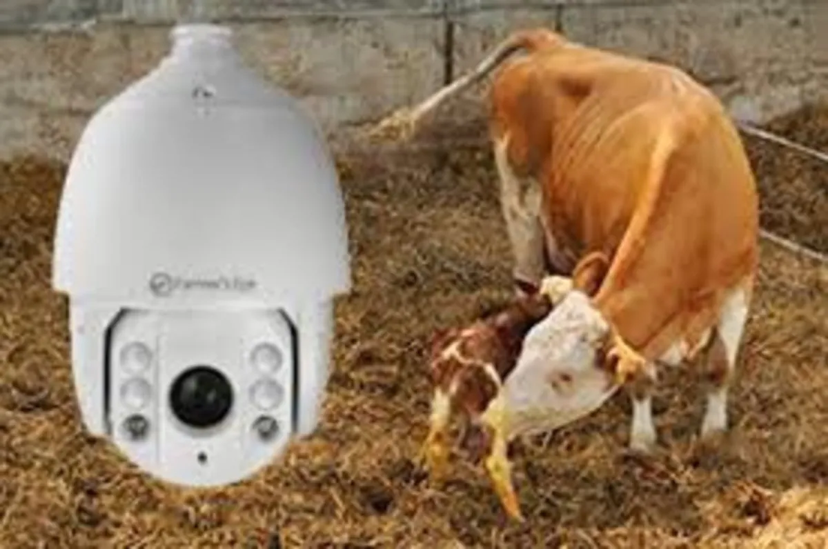Calving cameras , 4g SIM routers , - Image 2