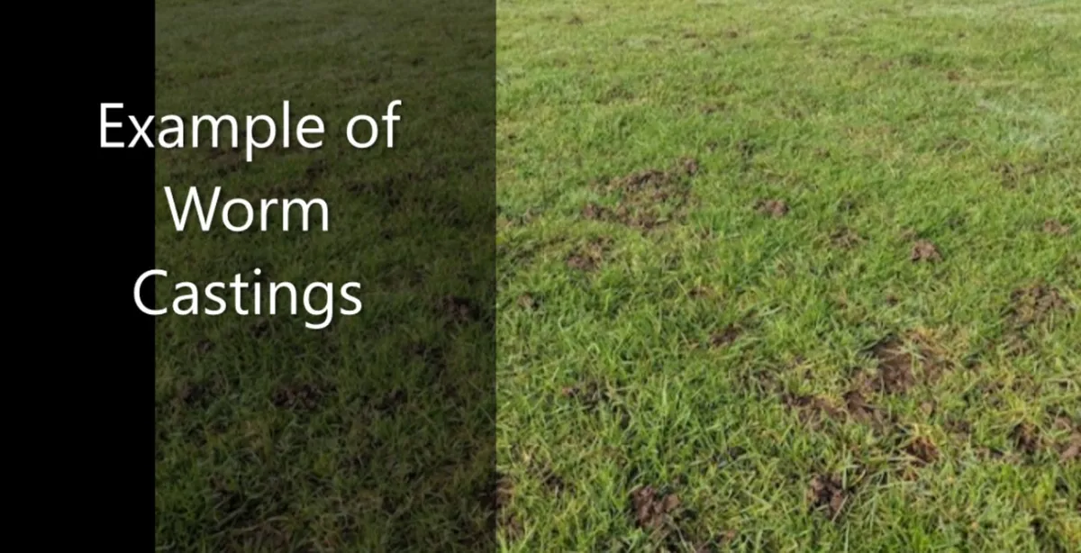 De-compaction / Aeration for Sports Grounds - Image 3