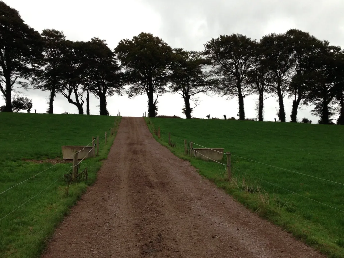 FARM ROADWAY. Red sandstone dust.Drainage stone. - Image 4