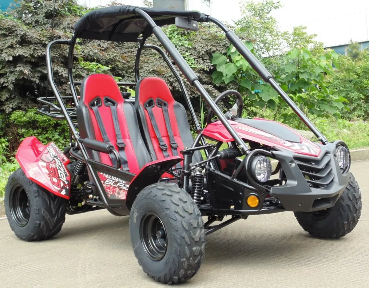 KIDS QUADS , BUGGYS , PEG PEREGO RIDE ONS - Image 1