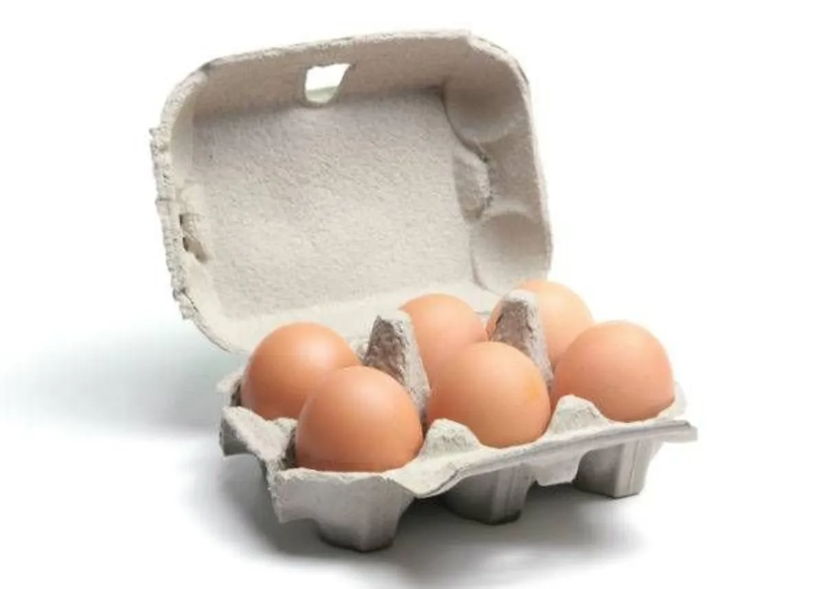 Egg Boxes & Packaging Delivered Nationwide - Image 1