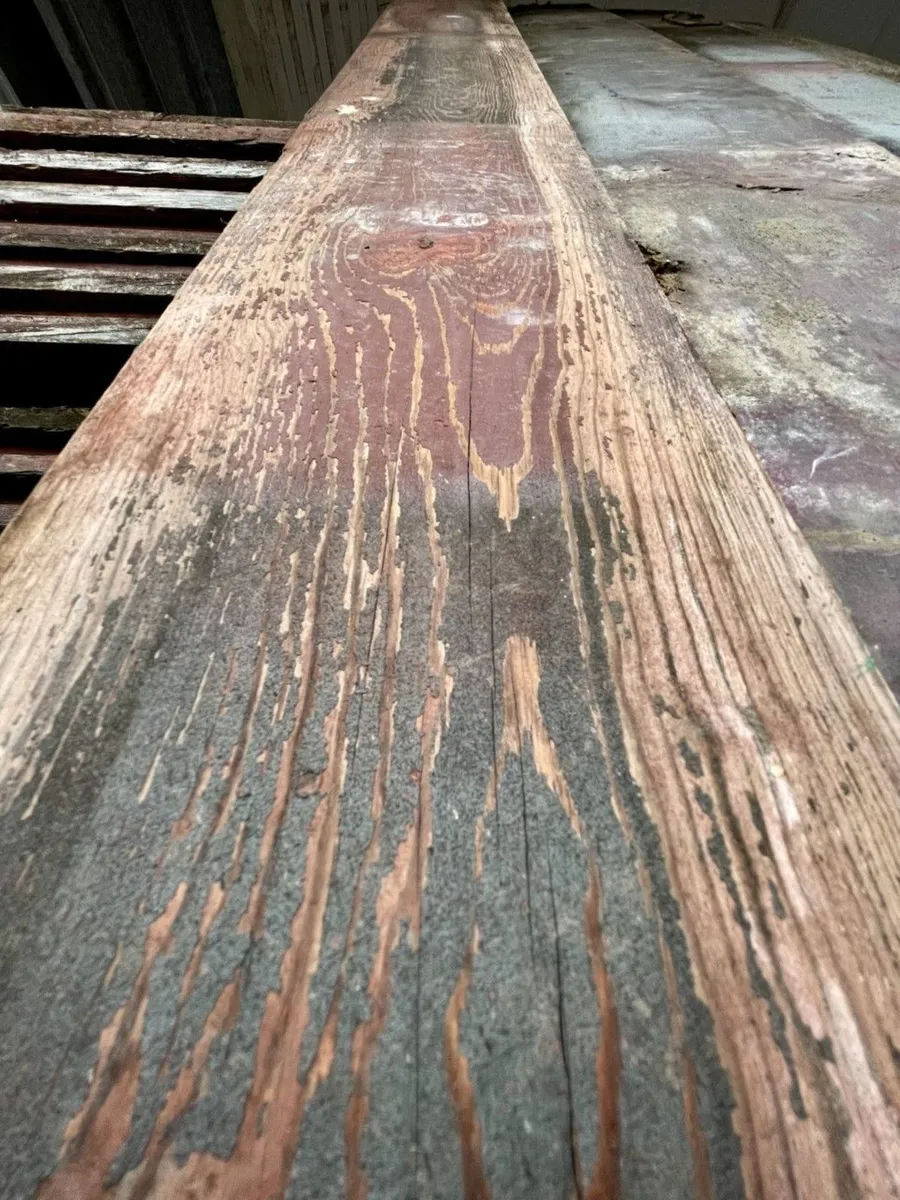 Pine Carriage Boards Reclaimed - Image 4