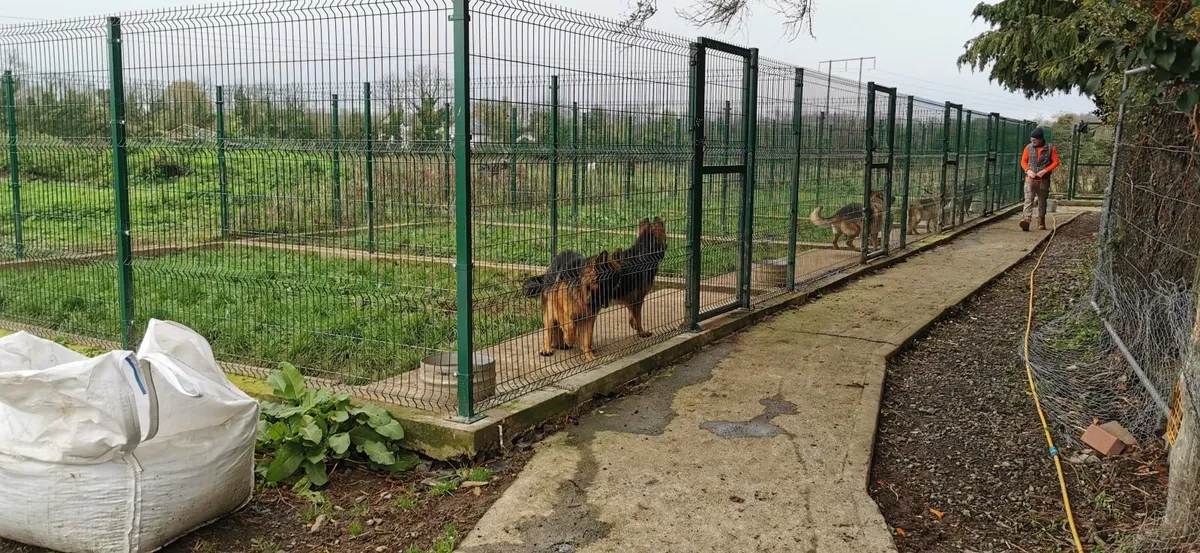 Security fencing.5mm. Dog runs. Gates. FENSER. - Image 2