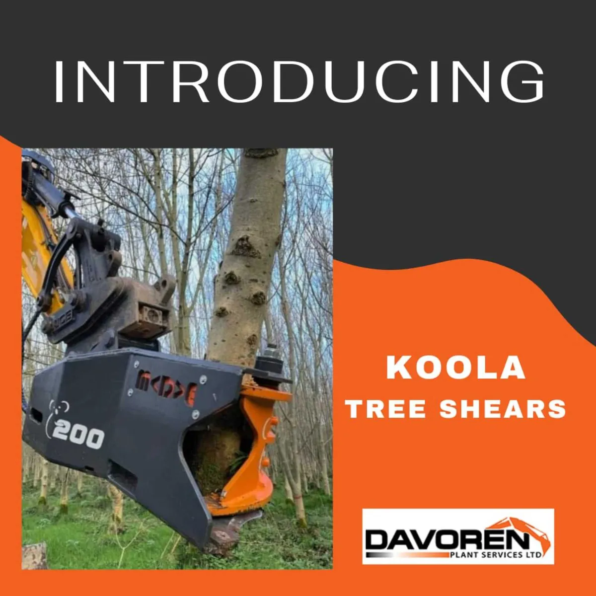 Need to deal with dangerous trees and branches??? - Image 1