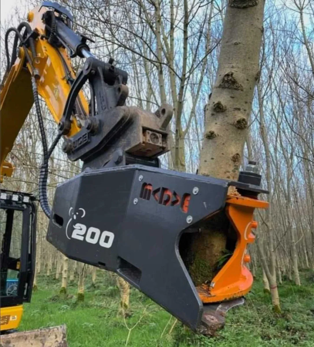 Tree Shears Ireland - Get them trees down safe!!!! - Image 3