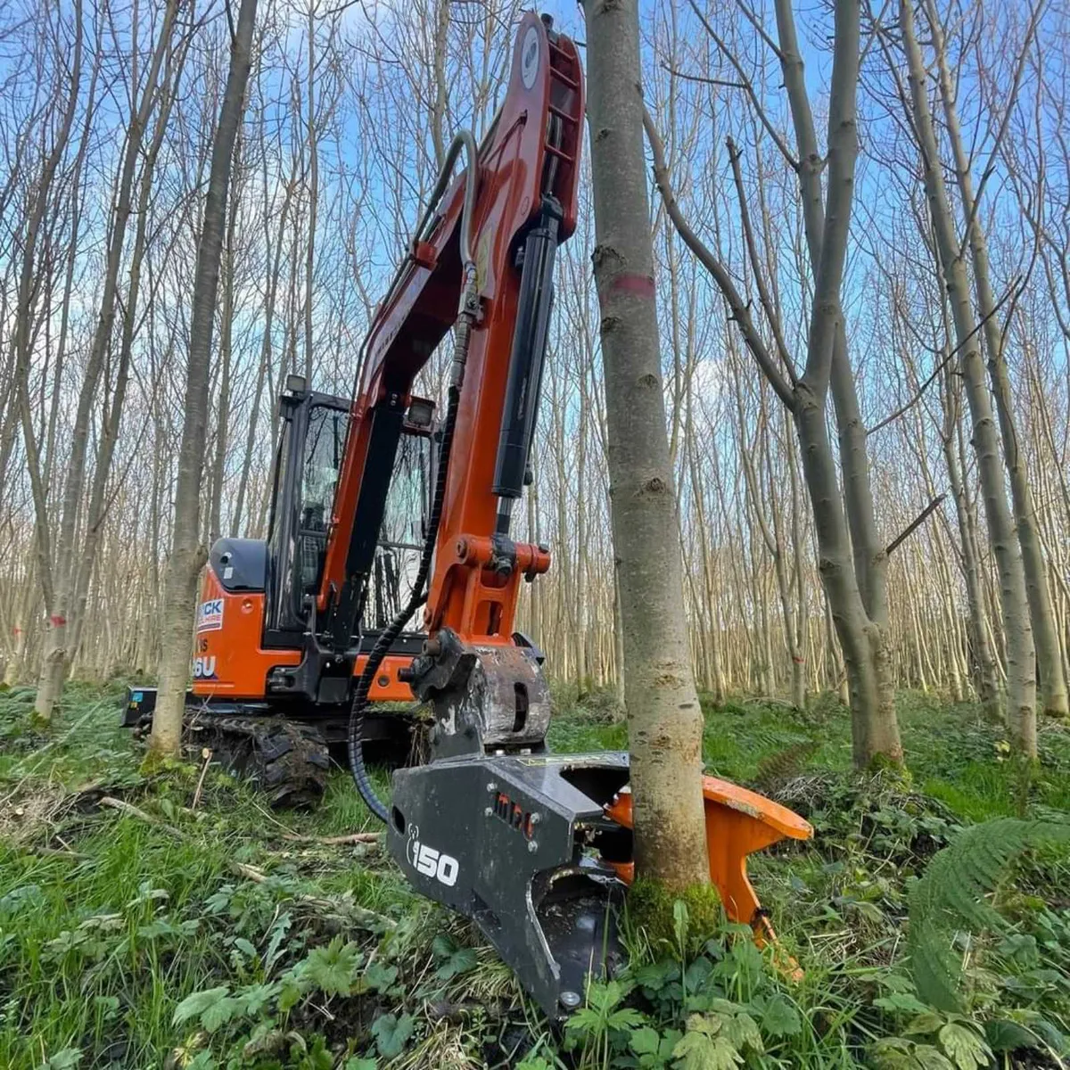 Tree Shears Ireland - Get them trees down safe!!!! - Image 4