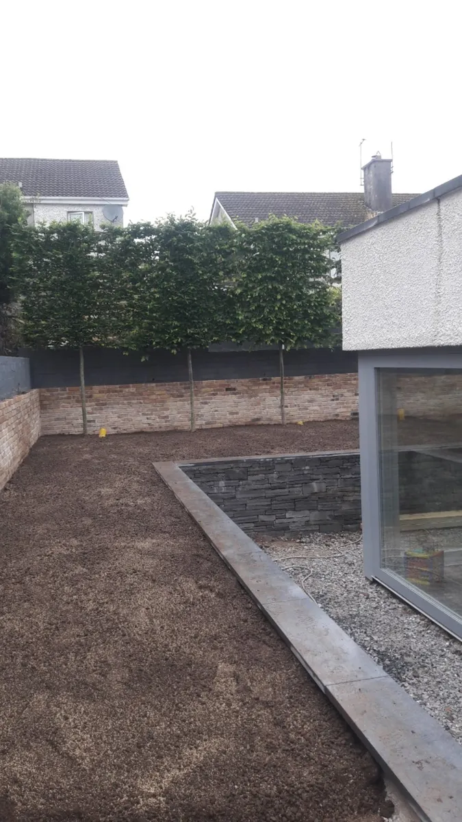 Carson landscapes cork lawn laying - Image 2